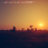 The indie update's i saw you blink radioshow / november