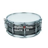 Rhythm & Roots Volume XII