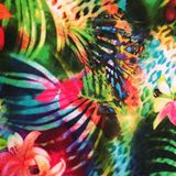 Octubre 10 - 2015 ◣ ◣ Bailando la diversidad ❂ ❂ Wild & Tropical Girls ◢ ◢