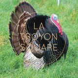 SquareTape#19 by Cordon Bleu - October 2015