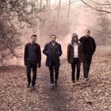 WILD BEASTS