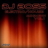 DJ BOSS-Electro House--Mix Session Vol.1