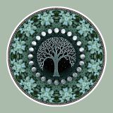 new moon grooves 11/12/15 - mixed live by SnϕwDrδp - guest mix by Funkyronster