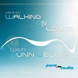 Max Flyant - Guestmix for Walking On Clouds, episode 008 (Nov 9, 2010)