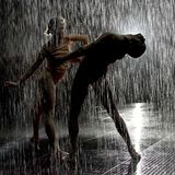 The Rain