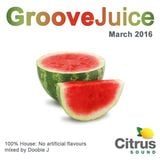 Groove Juice Melon - March 2016