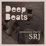 DeepBeats promomix Dec12 - SRJ