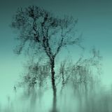 How Many Times I Turn Around, Quivion Mix 22. Electronic, modern classical, experimental, soundtrack
