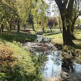 Podcasts in the Park - Spinney Hill Park