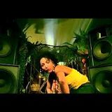 Kenko mix raggatek " PIF PAF "
