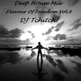 Deep House Mix - Flavour Of Freedom Vol.6