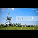 Spring