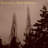 Basshavior - Brisk & Blustery