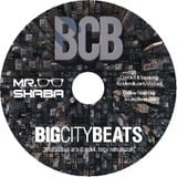 BigCityBeats 2016 mixed by Mr. Shaba