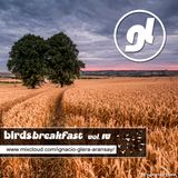 BirdsBreakfast vol. IV - Ignacio Glera DJ