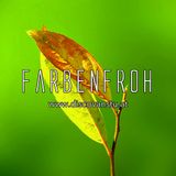 FarbenFroh | Summer Edition 2015