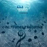 DJ Scuba Steve Presents.... Neptunes Treasure Vol. 2
