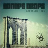 Oonops Drops - Brooklyn Tree