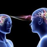 From their Minds to Ours