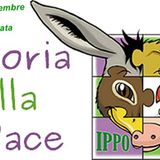 Radio Stonata - 10.12.2014
