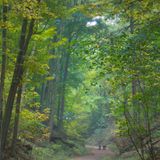 E.T.C.H. - Downpour Of Ambience 14: As These Leaves Fall - Ambient Podcast 014