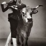 Lady Taurus by Prkls π²