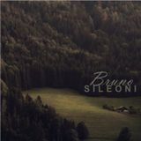 Sileoni Bruno - test level (Original Mix).mp3(8.4MB)