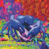 Psychedelic Psyblings Playlist: Tarik Badwan / LOOM
