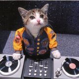 EDM Yearmix 2012 (Ft. AniThing)