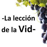 La lección de la Vid