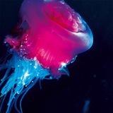 Binarized Soul Ex Machina Takeover 2 mix