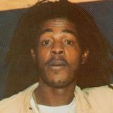 Michael Prophet Version Excursion