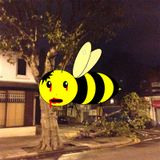 BeeStings wired radio show 24,02,14