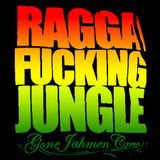 Blaze & Mr.Slate - Best of Ragga jungle 2011