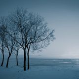 Winter Warmup (2009)