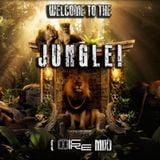 Mixtape N°10 - Welcome to the jungle