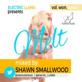 Melt Mix, Vol. Won, Issue 1 Mixed by Shawn Smallwood