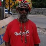 Hedonist Reggae 4