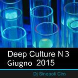 Deep Culture Giugno 2015 Dj Sinopoli Ciro