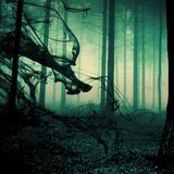 Dark Psytrance/Forest Mix (27.11.2013)