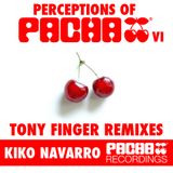 Perceptions of Pacha Remixed by Tony Finger - Mix Session Summer 2011