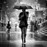 Rainy Summer