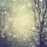Fecc - December Promo Mix (2012)