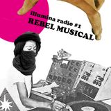 illumina radio #1 REBEL MUSICAL "Ruff Life mix"