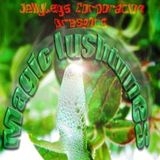 Magic Lushtunes with Jake Stern