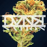 The Dirty Kidz - DANK NATION MIX - (2015)
