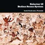 Badian Sauna System vs Selector 13 - Back2Back mix, Fazenda, 25-10-2013