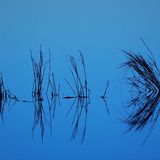 Reflection