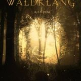 Waldklang Open Air (CH) 2-8-2014 Le Turnschuh
