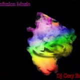 Dj Cory Brede Konfuzion Music 2012 Promo